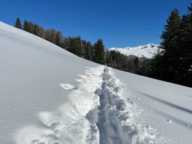 İsviçre Alpleri 'nin taze dağlık kar örtüsünde ve İsviçre' nin Grisonlar Kantonu (Kanton Graubuenden, Schweiz)
