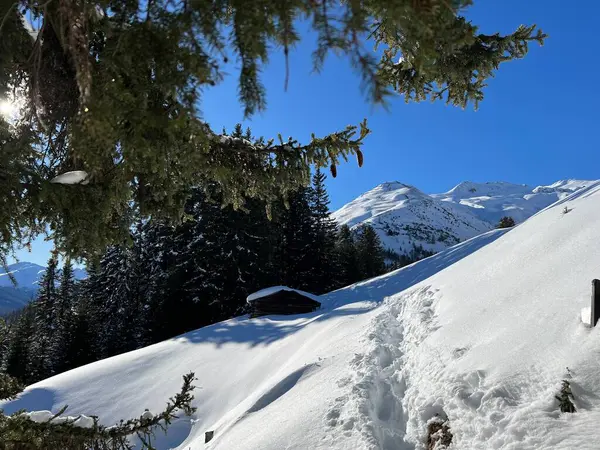 İsviçre Alpleri 'nin taze dağlık kar örtüsünde ve İsviçre' nin Grisonlar Kantonu (Kanton Graubuenden, Schweiz)