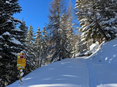 Alp turizm beldesi Davos 'un dağlık kesiminde dağcılık işaretleri ve işaretleri ve İsviçre Alpleri' nin - Kanton of Grisons, İsviçre (Kanton Graubuenden, Schweiz)