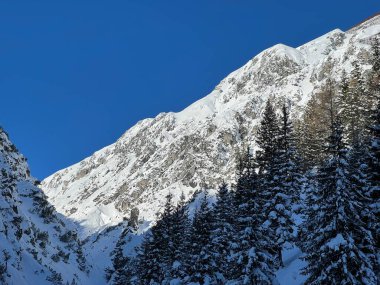 İsviçre 'nin Davos Kantonu, İsviçre (Kanton Graubuenden, Schweiz) üzerinde güneşli ve karlı tepeler.)