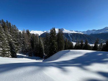 İsviçre Alplerinde tipik bir kış atmosferindeki alp ağaçlarının resimli gölgeleri ve İsviçre 'nin Grison Kantonu (Kanton Graubuenden, Schweiz)