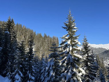 İsviçre Alplerinde tipik bir kış atmosferindeki alp ağaçlarının resimli gölgeleri ve İsviçre 'nin Grison Kantonu (Kanton Graubuenden, Schweiz)