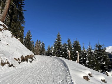 İsviçre 'nin Alp İsviçre turizm beldesi Davos' ta kayak ve snowboard yapmak için harika spor-eğlence kış pistleri - İsviçre 'nin Grisonlar Kantonu (Kanton Graubuenden, Schweiz)