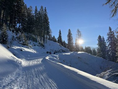 İsviçre 'nin Alp İsviçre turizm beldesi Davos' ta kayak ve snowboard yapmak için harika spor-eğlence kış pistleri - İsviçre 'nin Grisonlar Kantonu (Kanton Graubuenden, Schweiz)