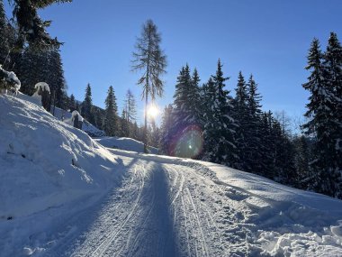 İsviçre 'nin Alp İsviçre turizm beldesi Davos' ta kayak ve snowboard yapmak için harika spor-eğlence kış pistleri - İsviçre 'nin Grisonlar Kantonu (Kanton Graubuenden, Schweiz)
