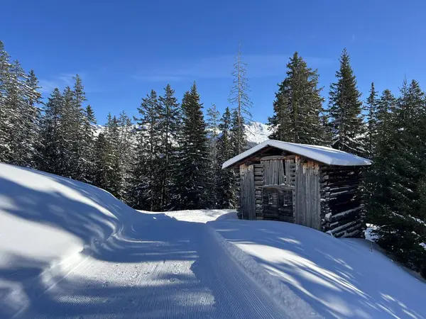 İsviçre 'nin Alp bölgesi turizm beldesi Davos - İsviçre' nin Grison Kantonu (Kanton Graubuenden, Schweiz)