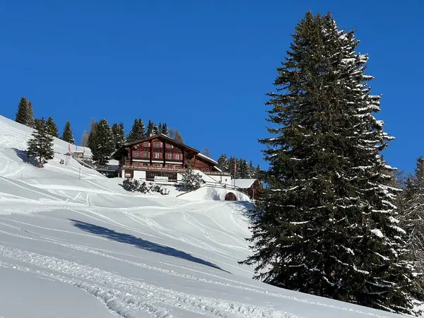 İsviçre 'nin Alp bölgesi turizm beldesi Davos - İsviçre' nin Grison Kantonu (Kanton Graubuenden, Schweiz)