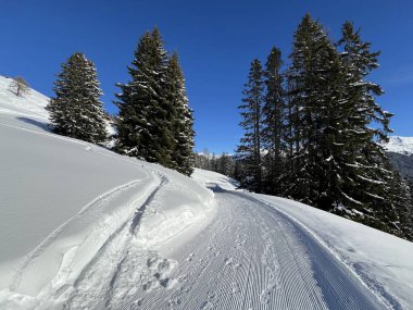 İsviçre 'nin Grisons Kantonu (Kanton Graubuenden, Schweiz) adlı İsviçre Alpleri' ndeki Davos tatil beldesinde yürüyüş, yürüyüş, yürüyüş, spor ve dinlenme için mükemmel düzenlenmiş kış patikaları.)