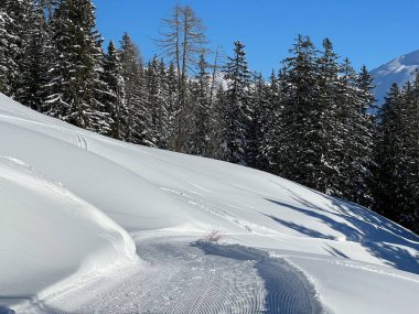 İsviçre 'nin Grisons Kantonu (Kanton Graubuenden, Schweiz) adlı İsviçre Alpleri' ndeki Davos tatil beldesinde yürüyüş, yürüyüş, yürüyüş, spor ve dinlenme için mükemmel düzenlenmiş kış patikaları.)