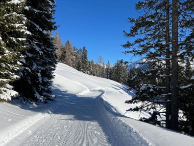 İsviçre 'nin Grisons Kantonu (Kanton Graubuenden, Schweiz) adlı İsviçre Alpleri' ndeki Davos tatil beldesinde yürüyüş, yürüyüş, yürüyüş, spor ve dinlenme için mükemmel düzenlenmiş kış patikaları.)