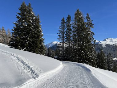 İsviçre 'nin Grisons Kantonu (Kanton Graubuenden, Schweiz) adlı İsviçre Alpleri' ndeki Davos tatil beldesinde yürüyüş, yürüyüş, yürüyüş, spor ve dinlenme için mükemmel düzenlenmiş kış patikaları.)