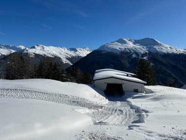İsviçre 'nin Grisons Kantonu (Kanton Graubuenden, Schweiz) adlı İsviçre Alpleri' ndeki Davos tatil beldesinde yürüyüş, yürüyüş, yürüyüş, spor ve dinlenme için mükemmel düzenlenmiş kış patikaları.)