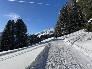 İsviçre 'nin Grisons Kantonu (Kanton Graubuenden, Schweiz) adlı İsviçre Alpleri' ndeki Davos tatil beldesinde yürüyüş, yürüyüş, yürüyüş, spor ve dinlenme için mükemmel düzenlenmiş kış patikaları.)