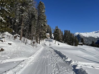 İsviçre 'nin Grisons Kantonu (Kanton Graubuenden, Schweiz) adlı İsviçre Alpleri' ndeki Davos tatil beldesinde yürüyüş, yürüyüş, yürüyüş, spor ve dinlenme için mükemmel düzenlenmiş kış patikaları.)