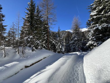 İsviçre 'nin Grisons Kantonu (Kanton Graubuenden, Schweiz) adlı İsviçre Alpleri' ndeki Davos tatil beldesinde yürüyüş, yürüyüş, yürüyüş, spor ve dinlenme için mükemmel düzenlenmiş kış patikaları.)