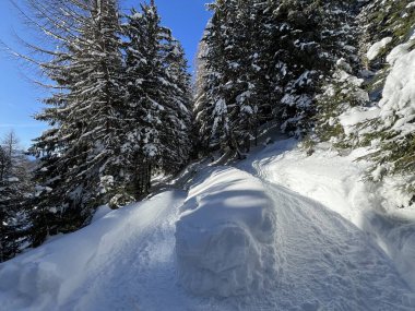 İsviçre 'nin Grisons Kantonu (Kanton Graubuenden, Schweiz) adlı İsviçre Alpleri' ndeki Davos tatil beldesinde yürüyüş, yürüyüş, yürüyüş, spor ve dinlenme için mükemmel düzenlenmiş kış patikaları.)