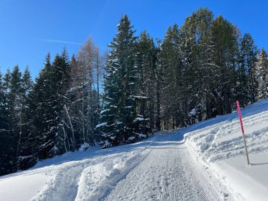 İsviçre 'nin Grisons Kantonu (Kanton Graubuenden, Schweiz) adlı İsviçre Alpleri' ndeki Davos tatil beldesinde yürüyüş, yürüyüş, yürüyüş, spor ve dinlenme için mükemmel düzenlenmiş kış patikaları.)