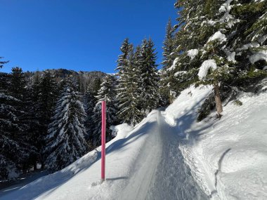 İsviçre 'nin Grisons Kantonu (Kanton Graubuenden, Schweiz) adlı İsviçre Alpleri' ndeki Davos tatil beldesinde yürüyüş, yürüyüş, yürüyüş, spor ve dinlenme için mükemmel düzenlenmiş kış patikaları.)