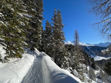 İsviçre 'nin Grisons Kantonu (Kanton Graubuenden, Schweiz) adlı İsviçre Alpleri' ndeki Davos tatil beldesinde yürüyüş, yürüyüş, yürüyüş, spor ve dinlenme için mükemmel düzenlenmiş kış patikaları.)