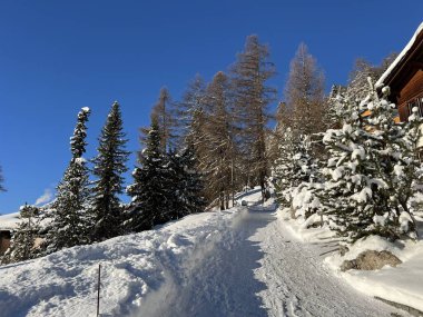 İsviçre 'nin Davos Kantonu (Kanton Graubuenden, Schweiz) üzerinde kırsal alp yolu boyunca kar yağışı devam ediyor.)