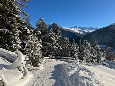 İsviçre 'nin Davos Kantonu (Kanton Graubuenden, Schweiz) üzerinde kırsal alp yolu boyunca kar yağışı devam ediyor.)