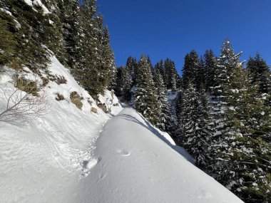 İsviçre 'nin Davos Kantonu (Kanton Graubuenden, Schweiz) üzerinde kırsal alp yolu boyunca kar yağışı devam ediyor.)