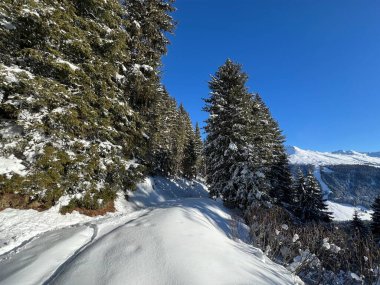 İsviçre 'nin Davos Kantonu (Kanton Graubuenden, Schweiz) üzerinde kırsal alp yolu boyunca kar yağışı devam ediyor.)