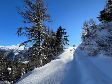 İsviçre 'nin Davos Kantonu (Kanton Graubuenden, Schweiz) üzerinde kırsal alp yolu boyunca kar yağışı devam ediyor.)