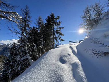 İsviçre 'nin Davos Kantonu (Kanton Graubuenden, Schweiz) üzerinde kırsal alp yolu boyunca kar yağışı devam ediyor.)