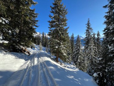 İsviçre 'nin Davos Kantonu (Kanton Graubuenden, Schweiz) üzerinde kırsal alp yolu boyunca kar yağışı devam ediyor.)