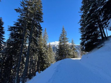 İsviçre 'nin Davos Kantonu (Kanton Graubuenden, Schweiz) üzerinde kırsal alp yolu boyunca kar yağışı devam ediyor.)