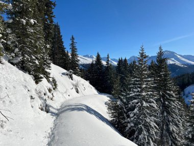İsviçre Alpleri 'nin taze dağlık kar örtüsünde ve İsviçre' nin Grisonlar Kantonu (Kanton Graubuenden, Schweiz)