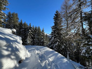 İsviçre Alpleri 'nin taze dağlık kar örtüsünde ve İsviçre' nin Grisonlar Kantonu (Kanton Graubuenden, Schweiz)