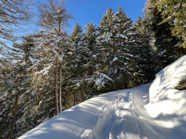 İsviçre Alpleri 'nin taze dağlık kar örtüsünde ve İsviçre' nin Grisonlar Kantonu (Kanton Graubuenden, Schweiz)