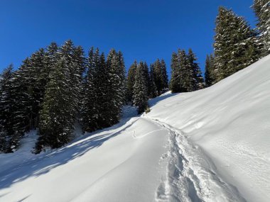 İsviçre Alpleri 'nin taze dağlık kar örtüsünde ve İsviçre' nin Grisonlar Kantonu (Kanton Graubuenden, Schweiz)