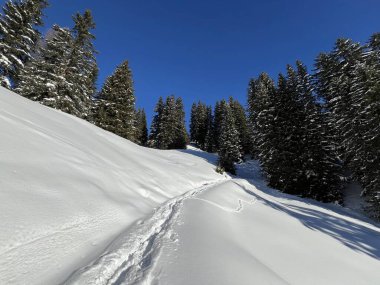 İsviçre Alpleri 'nin taze dağlık kar örtüsünde ve İsviçre' nin Grisonlar Kantonu (Kanton Graubuenden, Schweiz)