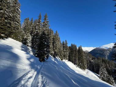 İsviçre Alpleri 'nin taze dağlık kar örtüsünde ve İsviçre' nin Grisonlar Kantonu (Kanton Graubuenden, Schweiz)