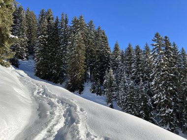 İsviçre Alpleri 'nin taze dağlık kar örtüsünde ve İsviçre' nin Grisonlar Kantonu (Kanton Graubuenden, Schweiz)