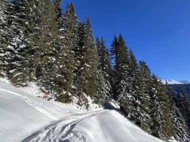 İsviçre Alpleri 'nin taze dağlık kar örtüsünde ve İsviçre' nin Grisonlar Kantonu (Kanton Graubuenden, Schweiz)
