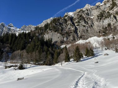 Walensee Gölü ve İsviçre 'nin Walenstadtberg kasabası (Die Steilen Felsgipfel der Churfirst stengruppe des Walensee, Schweiz) üzerindeki Churfirsten dağ sırasının dik kayalıkları.)