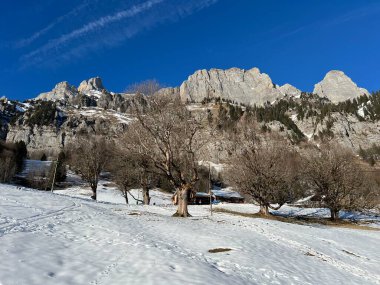 Walensee Gölü ve İsviçre 'nin Walenstadtberg kasabası (Die Steilen Felsgipfel der Churfirst stengruppe des Walensee, Schweiz) üzerindeki Churfirsten dağ sırasının dik kayalıkları.)