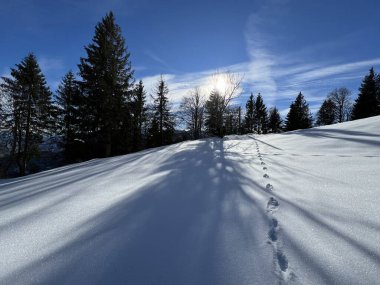 Walen Gölü veya Walenstadt Gölü (Walensee) üzerinde ve İsviçre Alpleri 'nin taze dağlık kar örtüsünde Walenstadtberg - İsviçre' nin St. Gallen Kantonu (Schweiz)