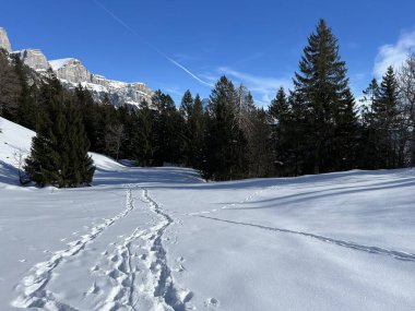 Walen Gölü veya Walenstadt Gölü (Walensee) üzerinde ve İsviçre Alpleri 'nin taze dağlık kar örtüsünde Walenstadtberg - İsviçre' nin St. Gallen Kantonu (Schweiz)