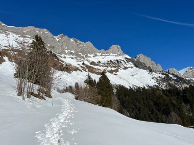 Walen Gölü veya Walenstadt Gölü (Walensee) üzerinde ve İsviçre Alpleri 'nin taze dağlık kar örtüsünde Walenstadtberg - İsviçre' nin St. Gallen Kantonu (Schweiz)