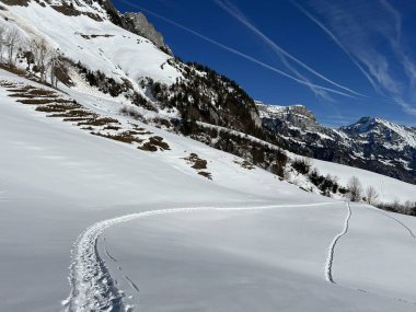 Walen Gölü veya Walenstadt Gölü (Walensee) üzerinde ve İsviçre Alpleri 'nin taze dağlık kar örtüsünde Walenstadtberg - İsviçre' nin St. Gallen Kantonu (Schweiz)
