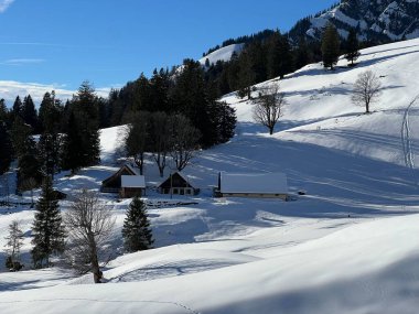 Eski İsviçre kırsal mimarisi ve alp çiftlik çiftlikleri Walen Gölü veya Walenstadt Gölü (Walensee) ve İsviçre Alpleri 'nde, Walenstadtberg - İsviçre (Kanton St. Gallen, Schweiz)