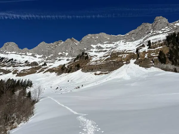 Walen Gölü veya Walenstadt Gölü (Walensee) üzerinde ve İsviçre Alpleri 'nin taze dağlık kar örtüsünde Walenstadtberg - İsviçre' nin St. Gallen Kantonu (Schweiz)