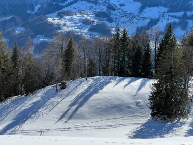 Walen Gölü veya Walenstadt Gölü (Walensee) ve İsviçre Alpleri 'nde (Kanton St. Gallen, Schweiz)