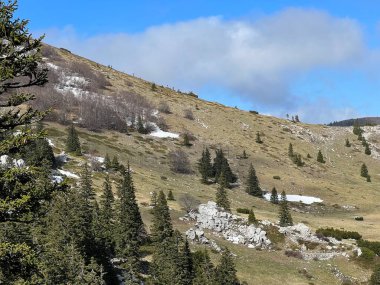 Kuzey Velebit Milli Parkı, Hırvatistan (Planinski pasnjaci i i mijesana suma u rano proljece - Nacionalni parkı Sjeverni Velebit, Hrvatska)