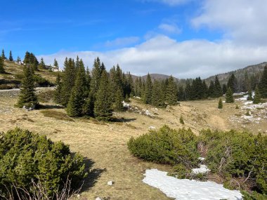 Kuzey Velebit Milli Parkı, Hırvatistan (Planinski pasnjaci i i mijesana suma u rano proljece - Nacionalni parkı Sjeverni Velebit, Hrvatska)